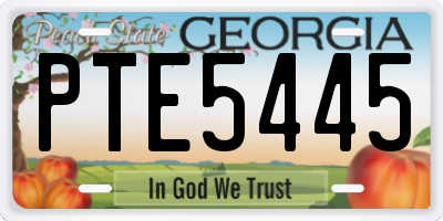 GA license plate PTE5445