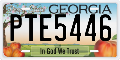 GA license plate PTE5446