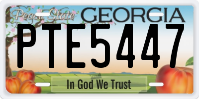 GA license plate PTE5447