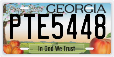 GA license plate PTE5448