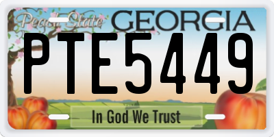 GA license plate PTE5449