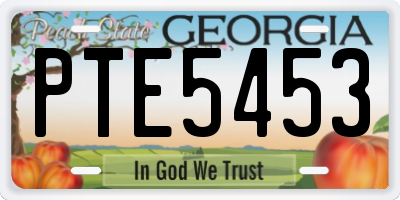 GA license plate PTE5453