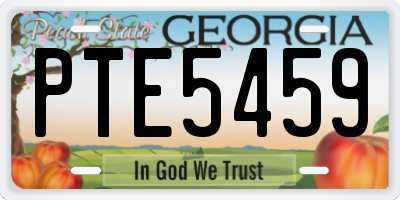 GA license plate PTE5459