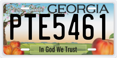 GA license plate PTE5461