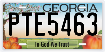 GA license plate PTE5463