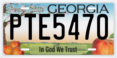 GA license plate PTE5470