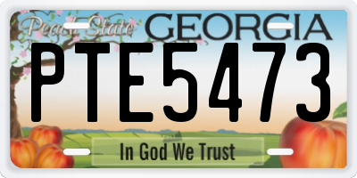 GA license plate PTE5473