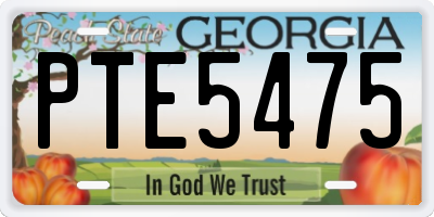 GA license plate PTE5475