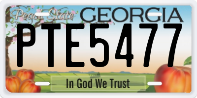 GA license plate PTE5477