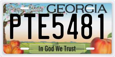 GA license plate PTE5481