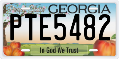 GA license plate PTE5482