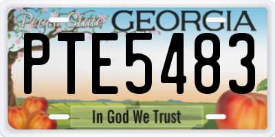 GA license plate PTE5483