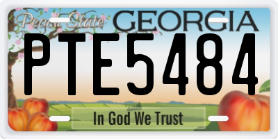 GA license plate PTE5484