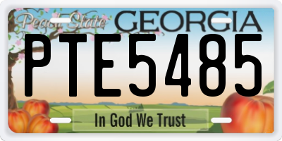 GA license plate PTE5485