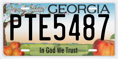GA license plate PTE5487
