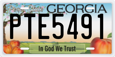 GA license plate PTE5491