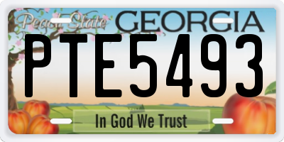 GA license plate PTE5493