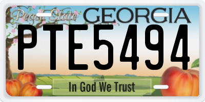 GA license plate PTE5494