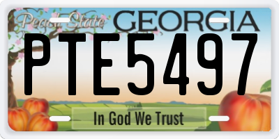GA license plate PTE5497