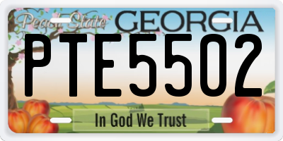 GA license plate PTE5502