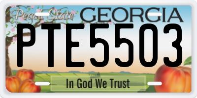GA license plate PTE5503