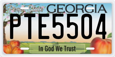 GA license plate PTE5504