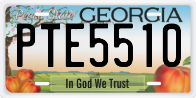 GA license plate PTE5510