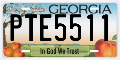 GA license plate PTE5511