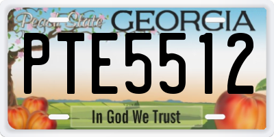 GA license plate PTE5512