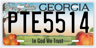 GA license plate PTE5514