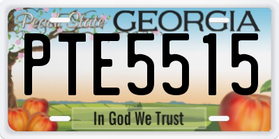 GA license plate PTE5515