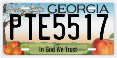GA license plate PTE5517