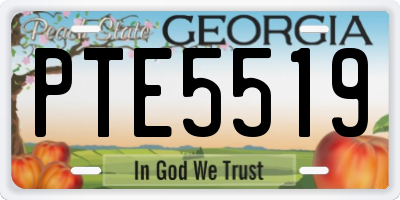 GA license plate PTE5519