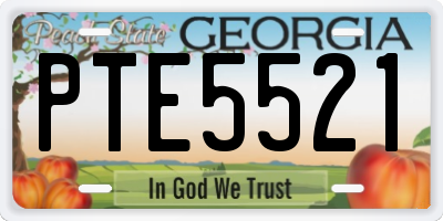 GA license plate PTE5521