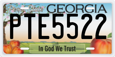 GA license plate PTE5522