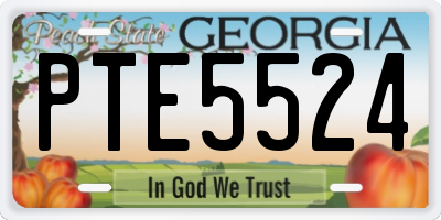 GA license plate PTE5524