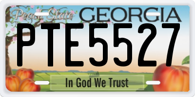 GA license plate PTE5527