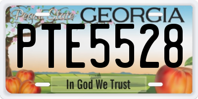 GA license plate PTE5528