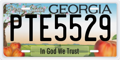 GA license plate PTE5529