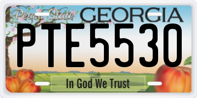 GA license plate PTE5530