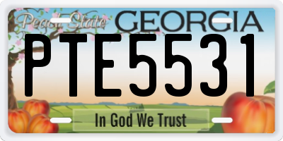 GA license plate PTE5531