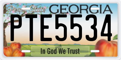 GA license plate PTE5534