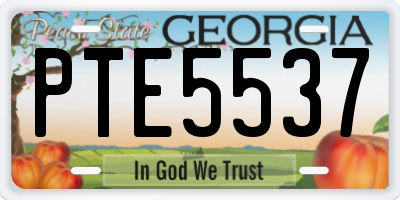 GA license plate PTE5537
