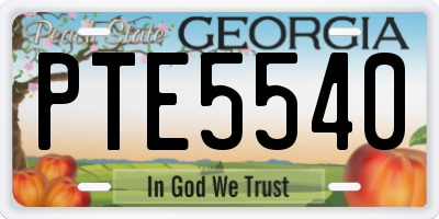 GA license plate PTE5540