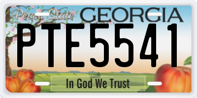 GA license plate PTE5541