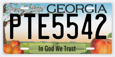 GA license plate PTE5542