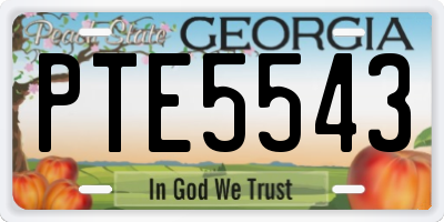 GA license plate PTE5543