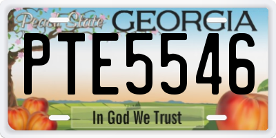 GA license plate PTE5546