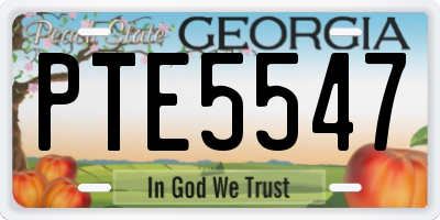 GA license plate PTE5547