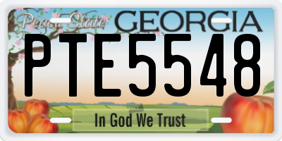 GA license plate PTE5548